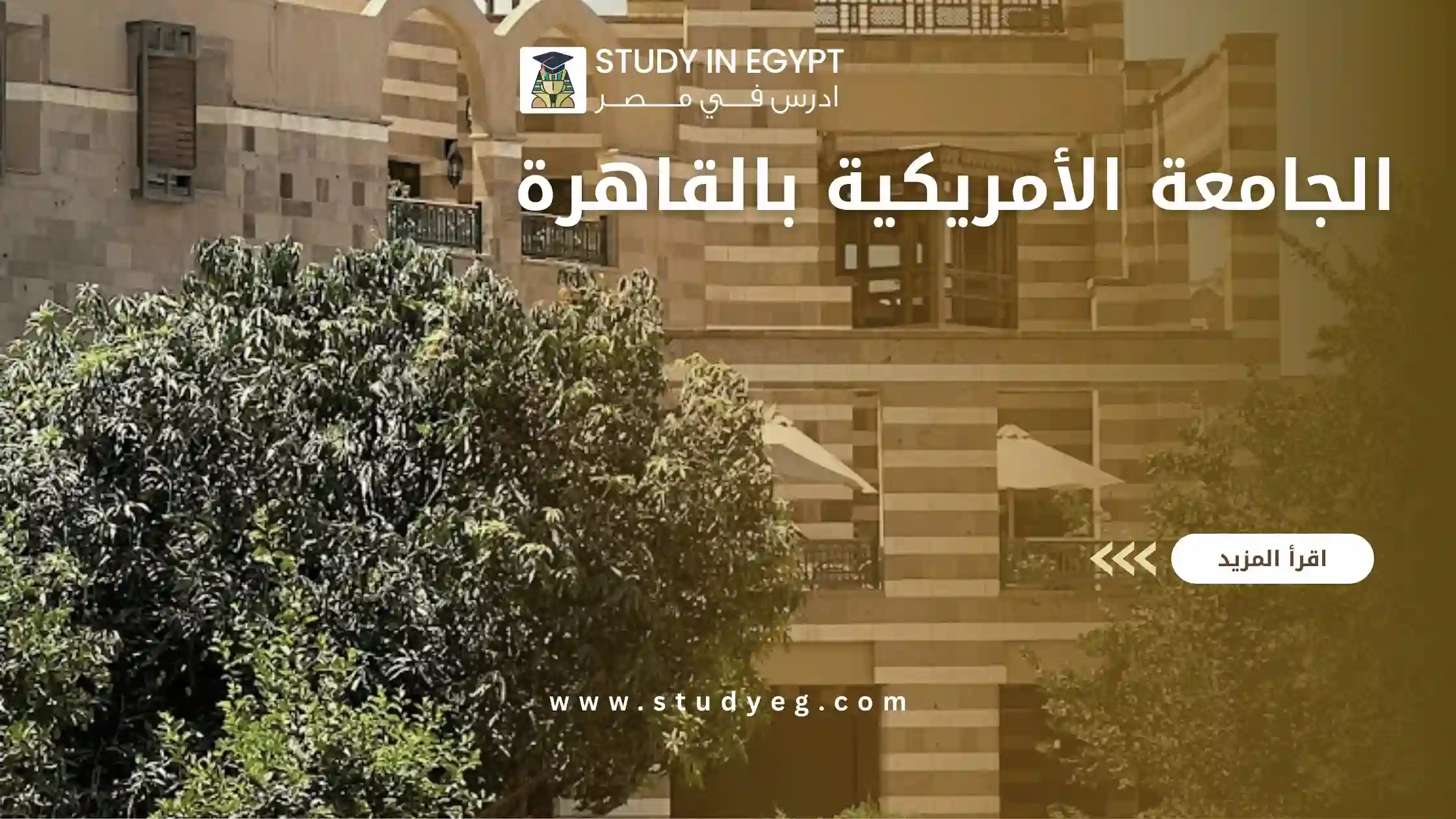 الجامعة الأمريكية بالقاهرة