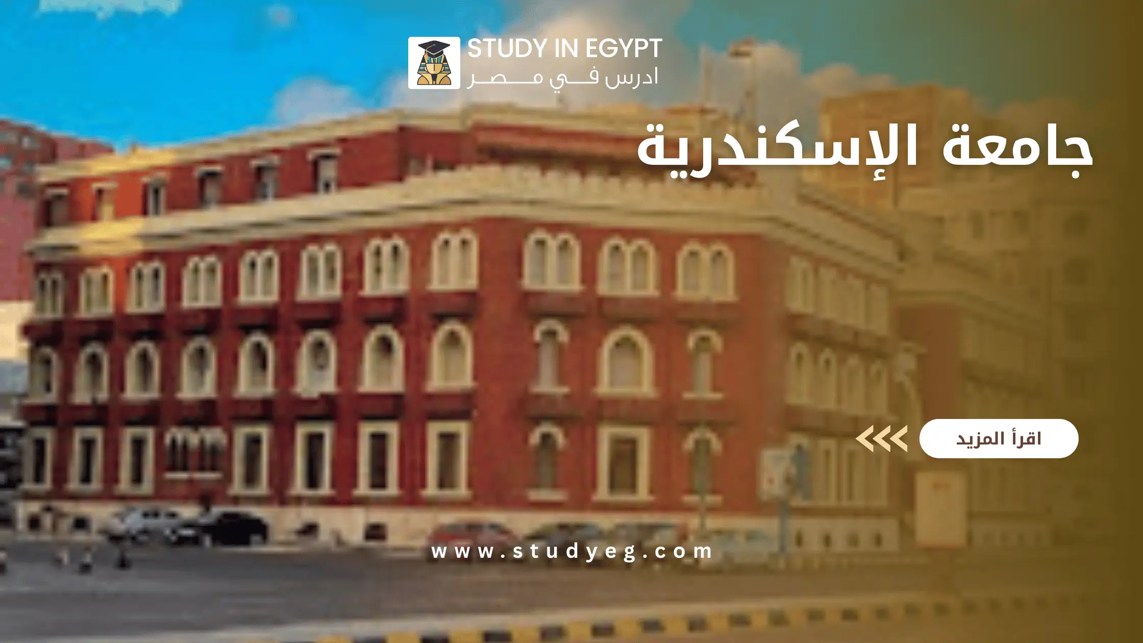 جامعة الإسكندرية