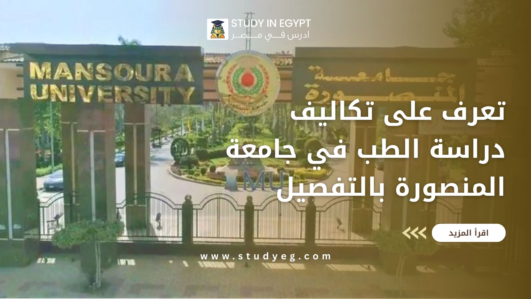 تكاليف دراسة الطب في جامعة المنصورة