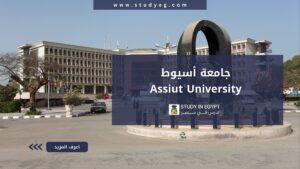 جامعة أسيوط