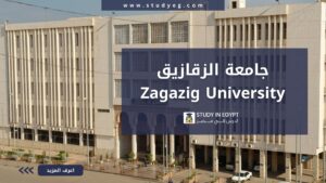 جامعة الزقازيق