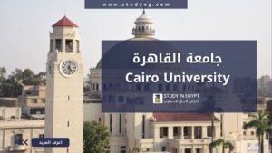 جامعة القاهرة