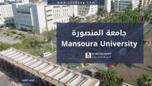 جامعة المنصورة