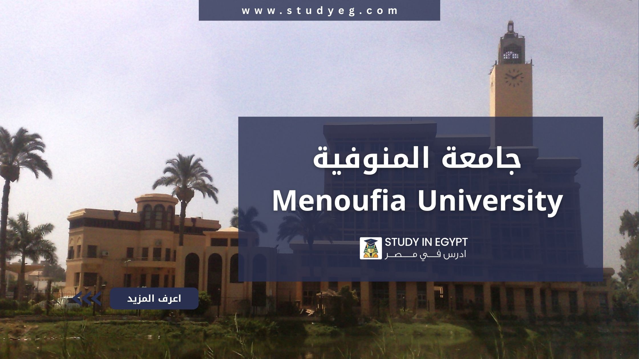 جامعة المنوفية