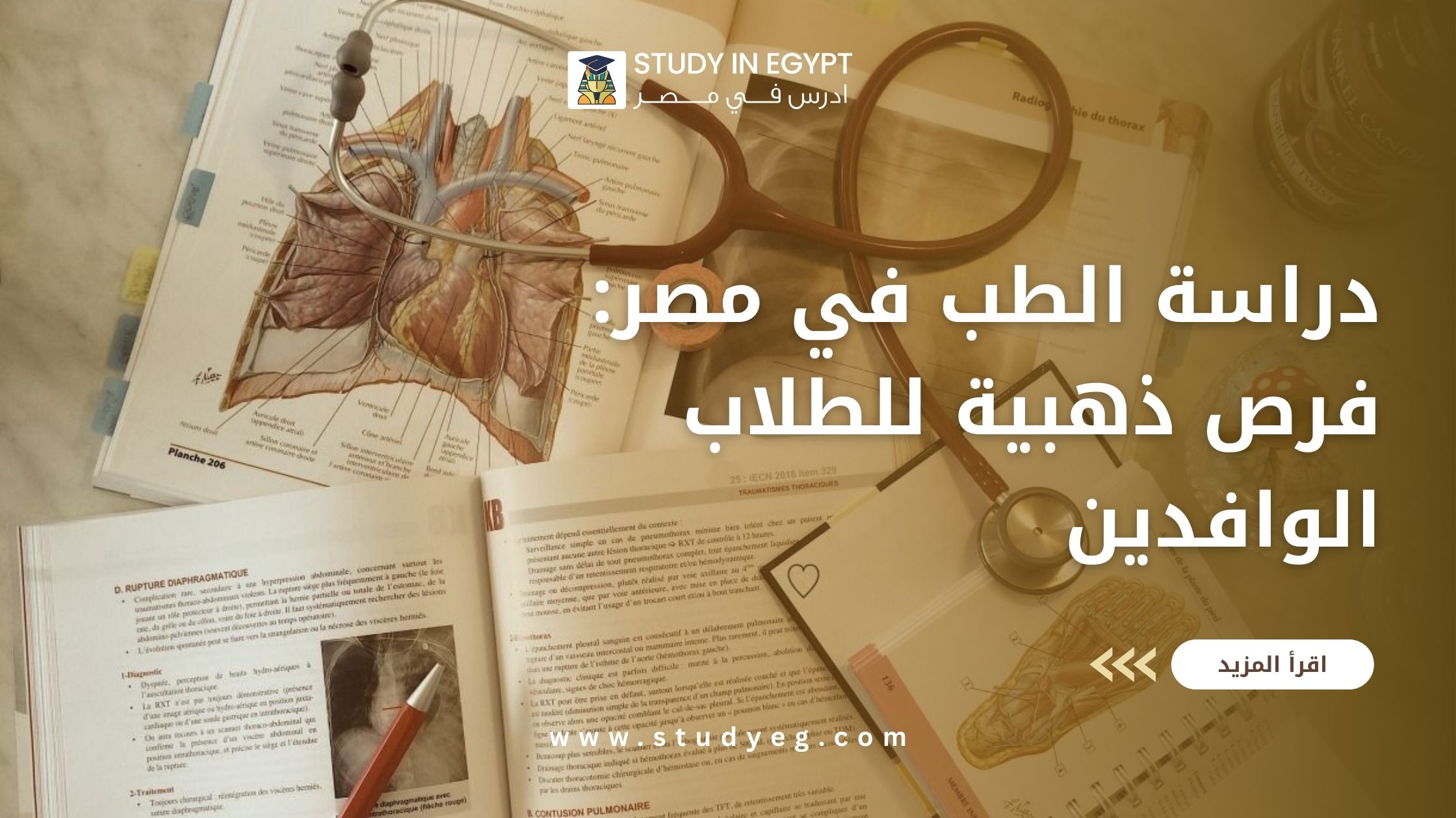 دراسة الطب في مصر