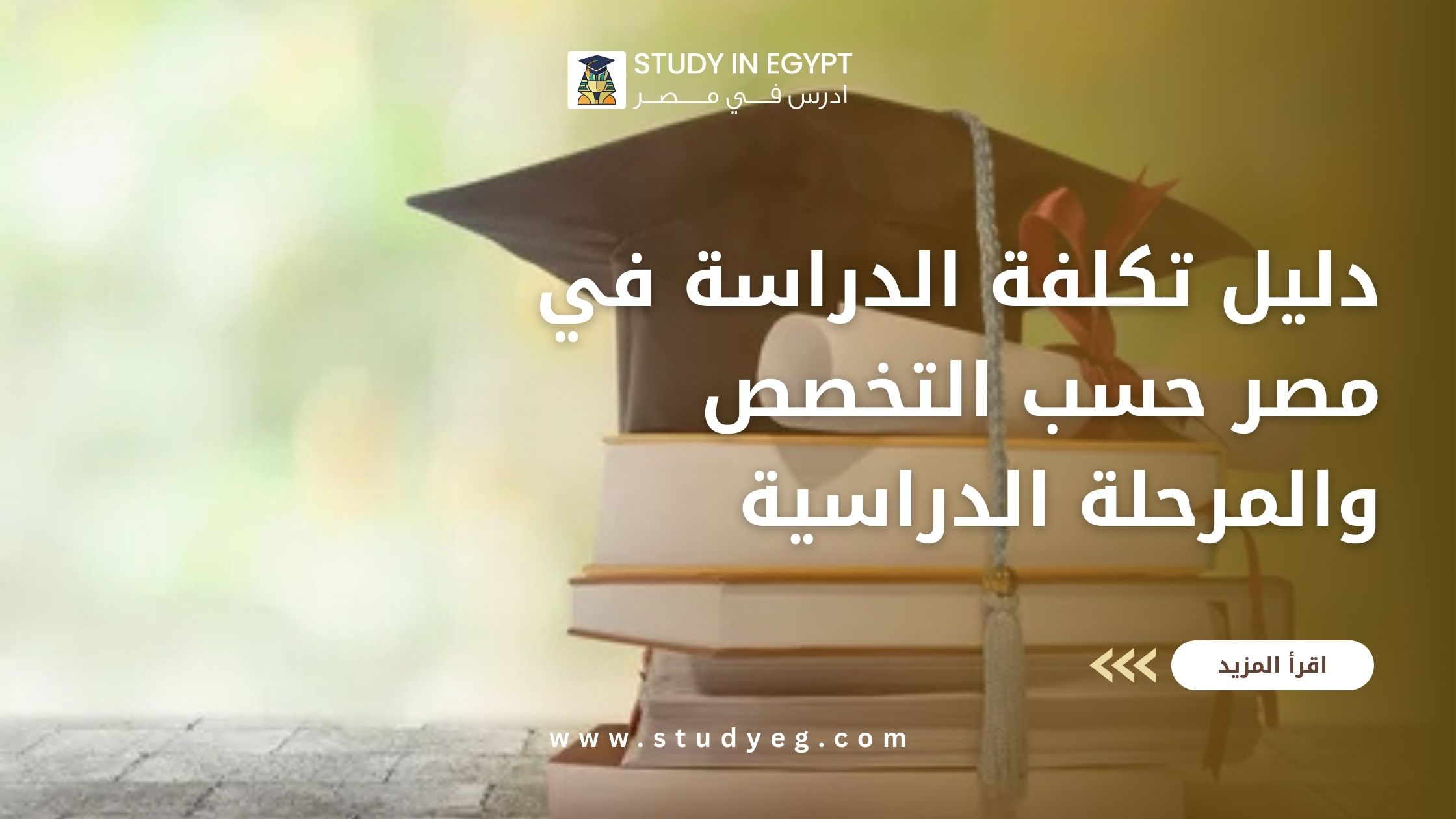 تكلفة الدراسة في مصر