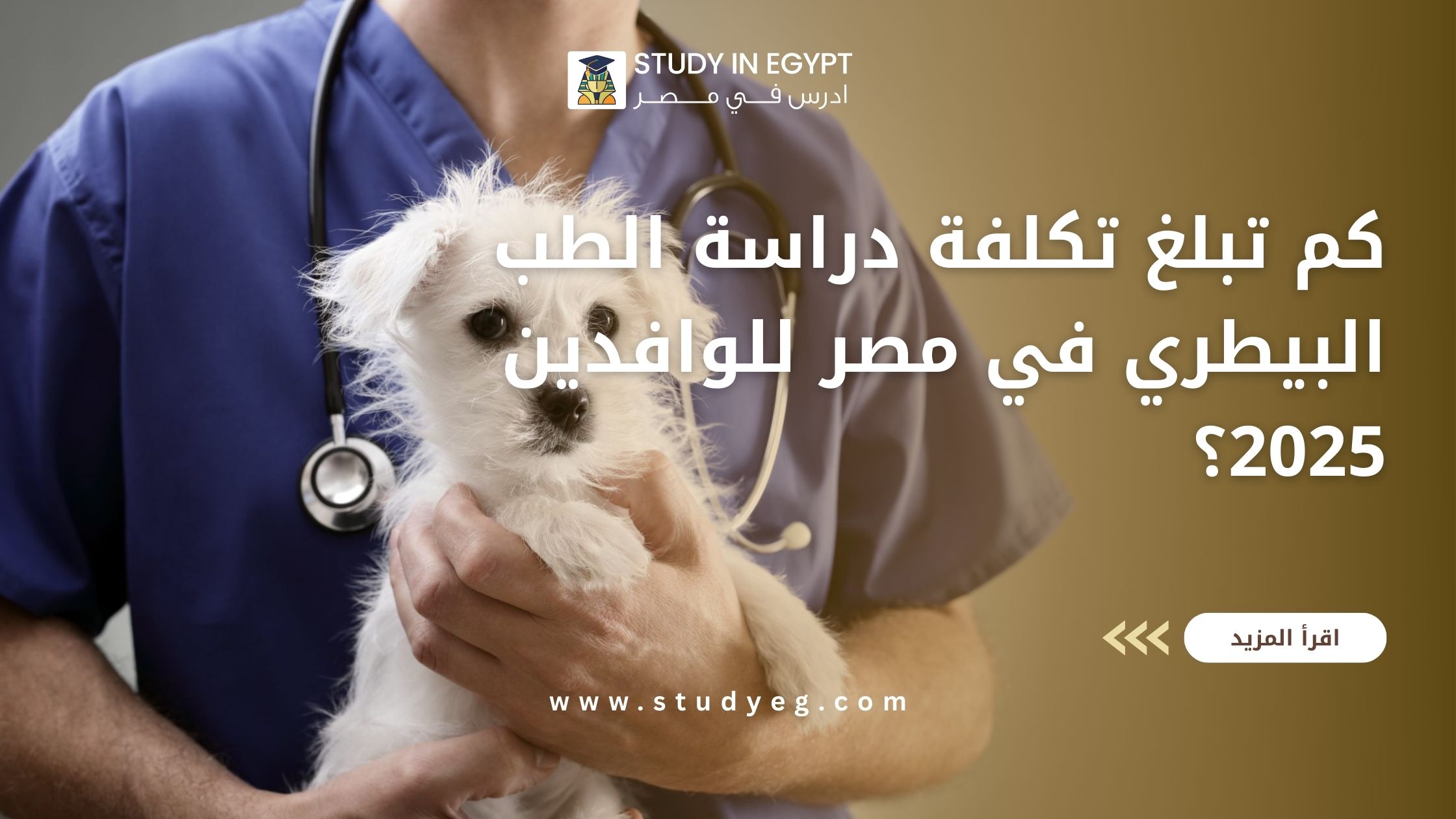 تكلفة دراسة الطب البيطري في مصر