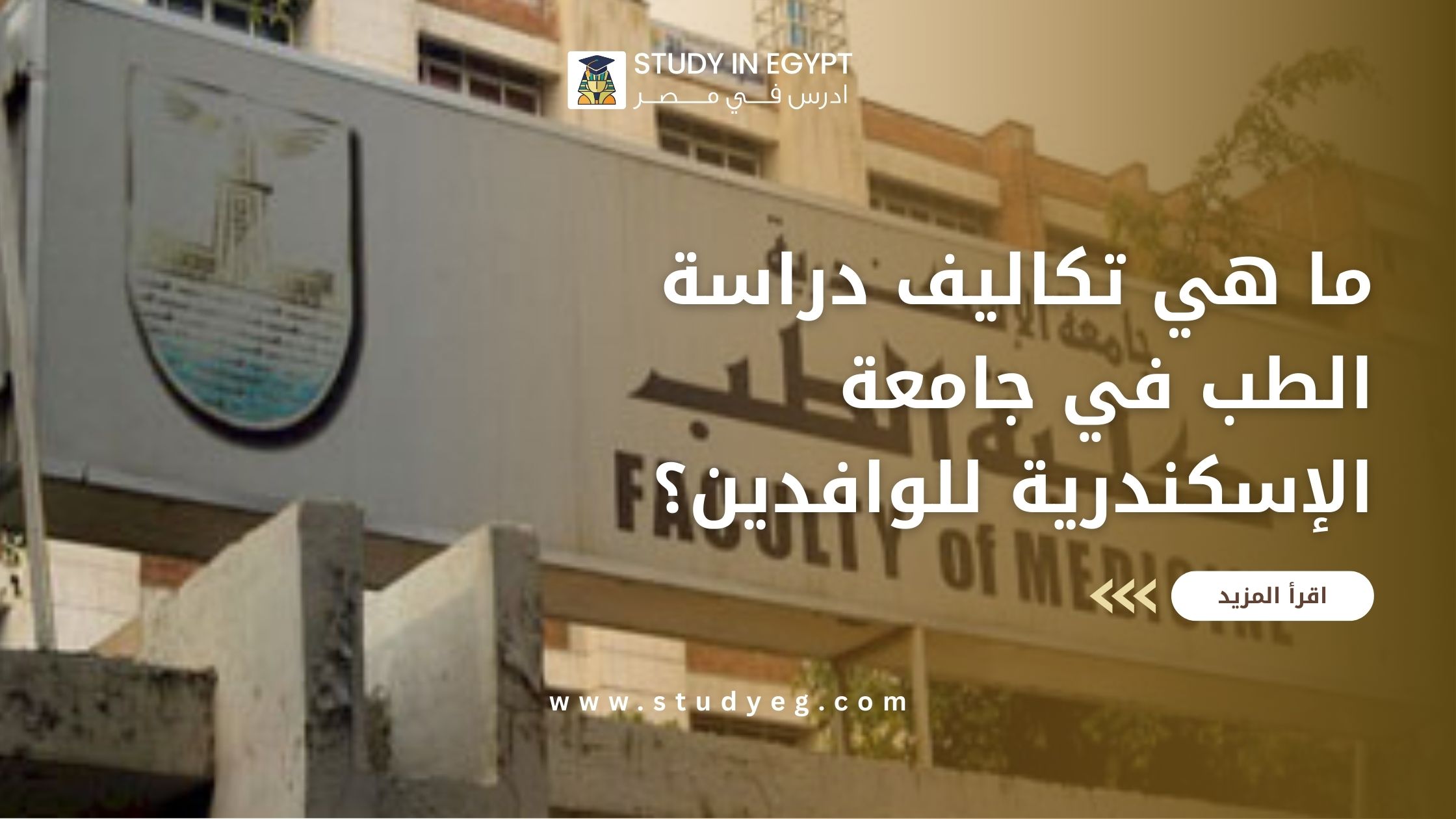 تكاليف دراسة الطب في جامعة الاسكندرية
