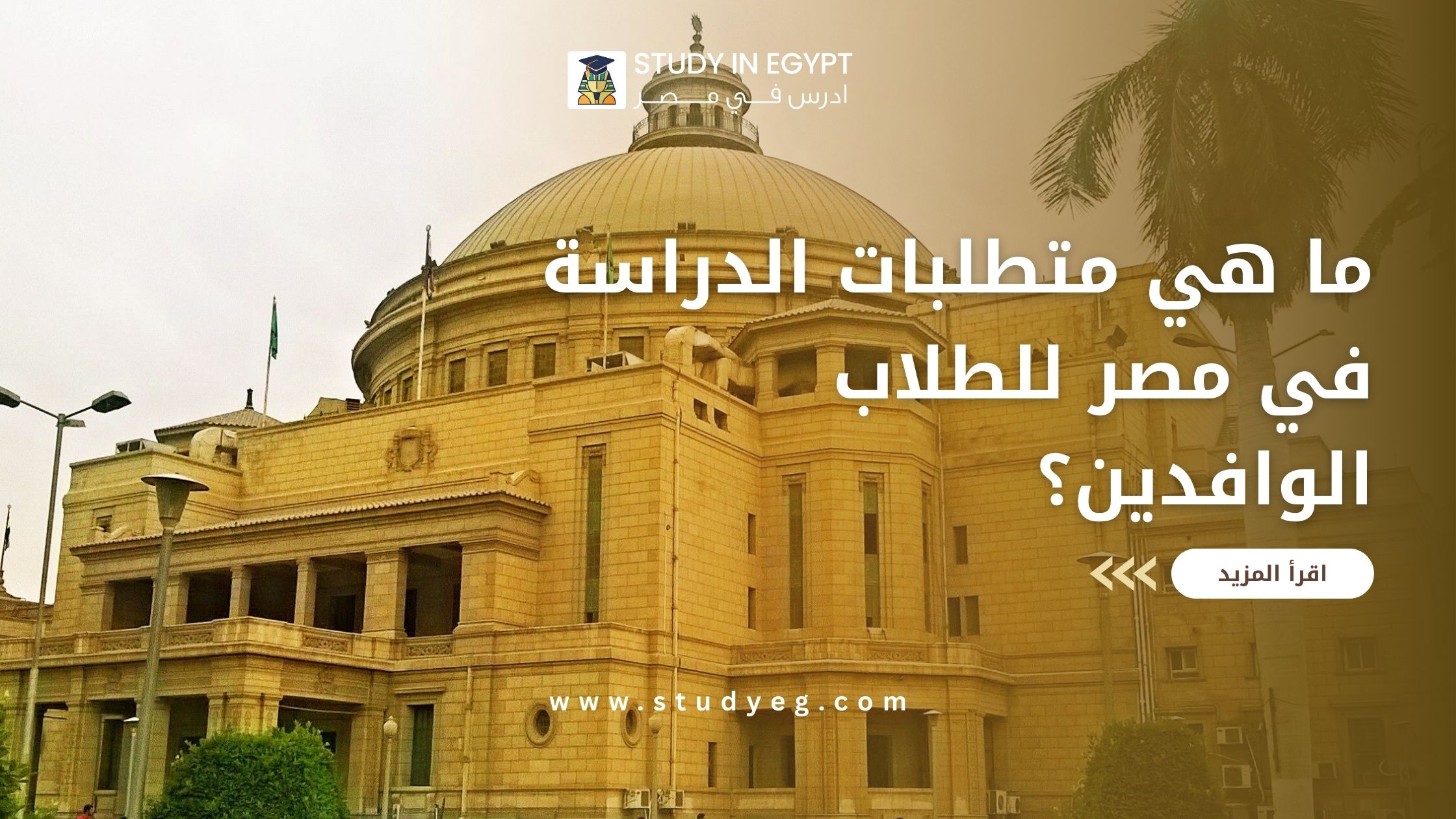 متطلبات الدراسة في مصر