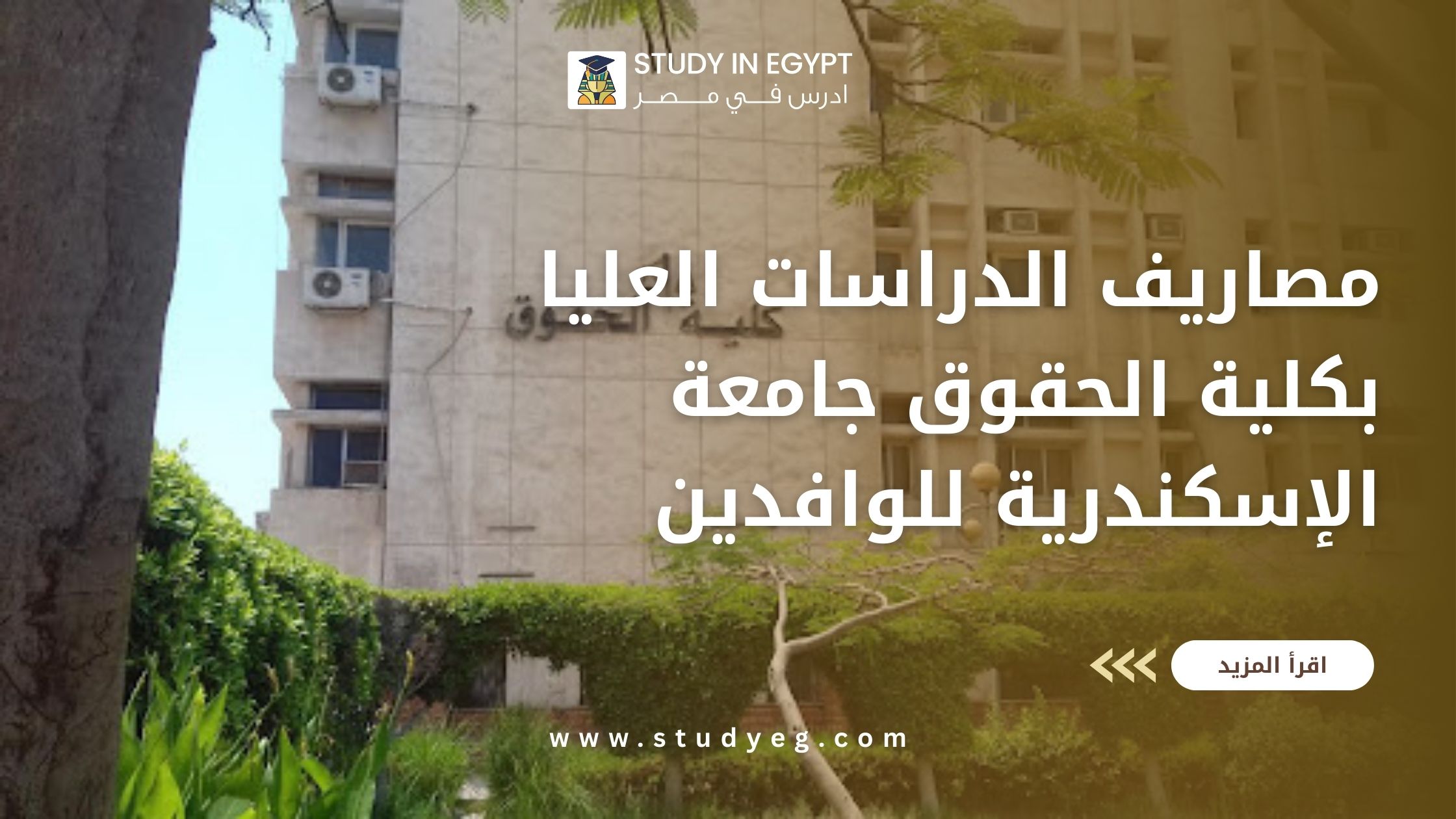 مصاريف الدراسات العليا كلية الحقوق جامعة الاسكندرية
