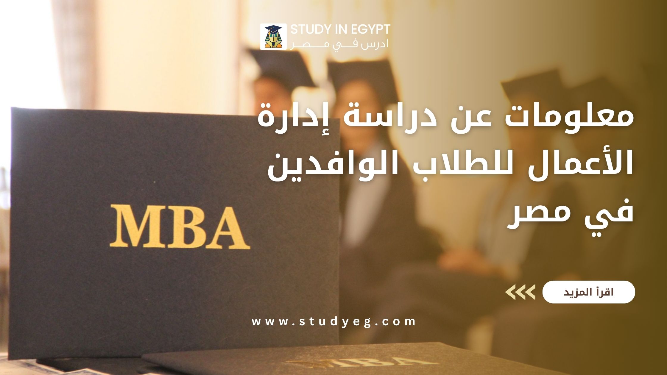 معلومات عن دراسة ادارة الاعمال