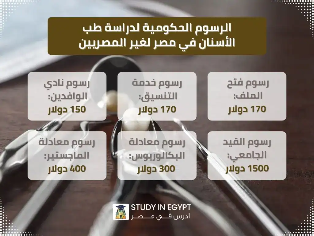 تكلفة دراسة طب الأسنان في مصر لغير المصريين