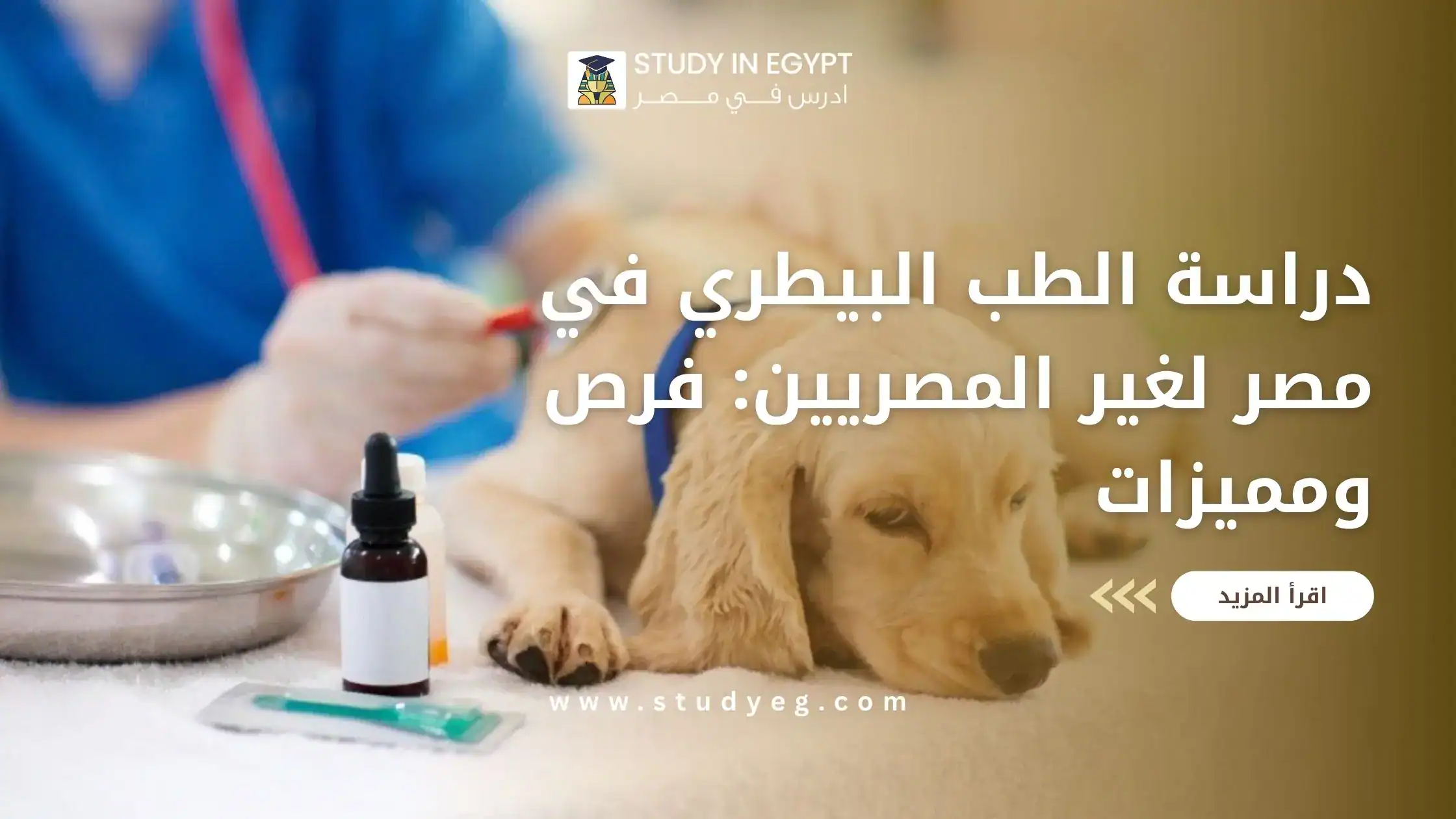 دراسة الطب البيطري في مصر