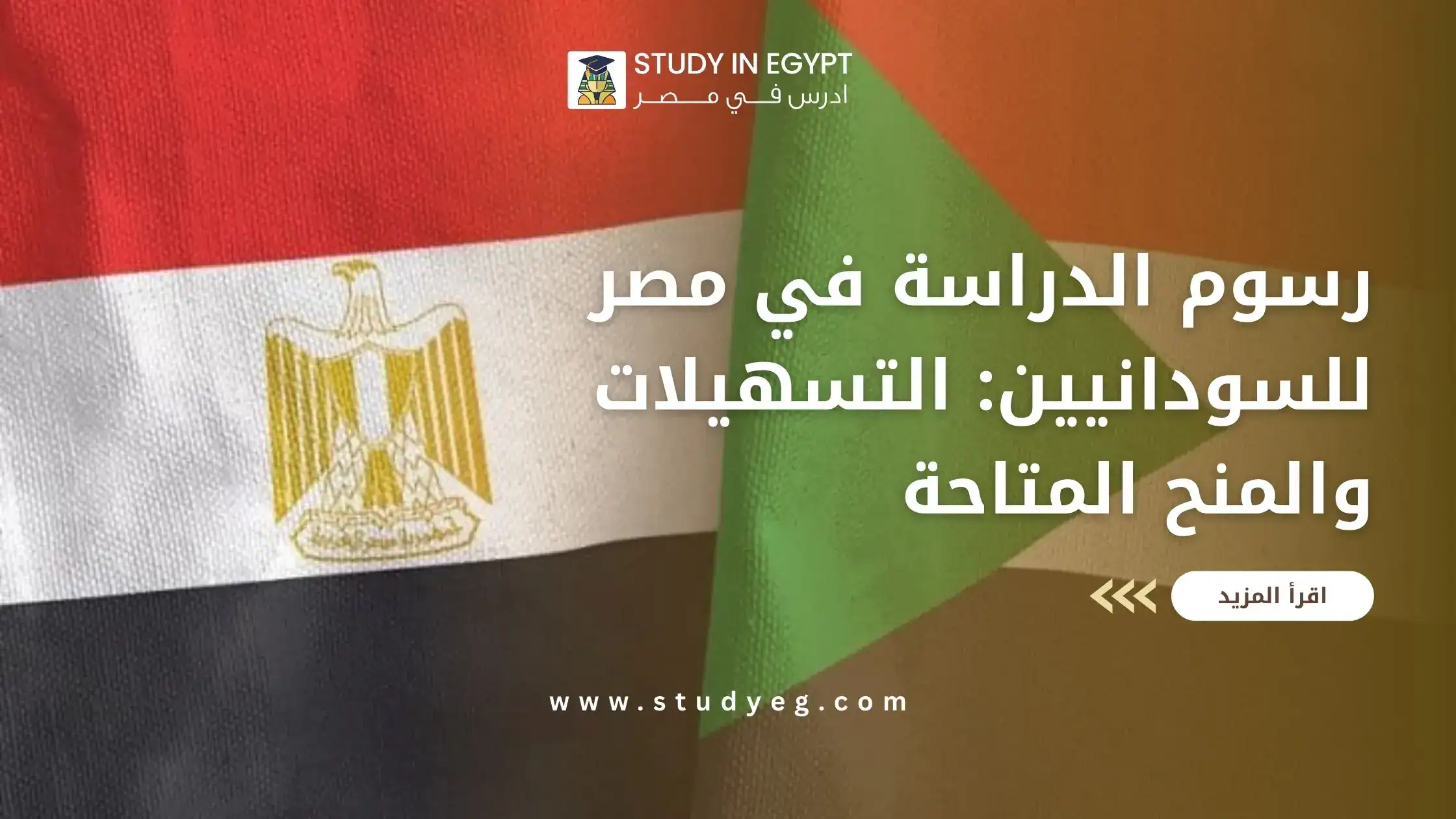 رسوم الدراسة في مصر للسودانيين