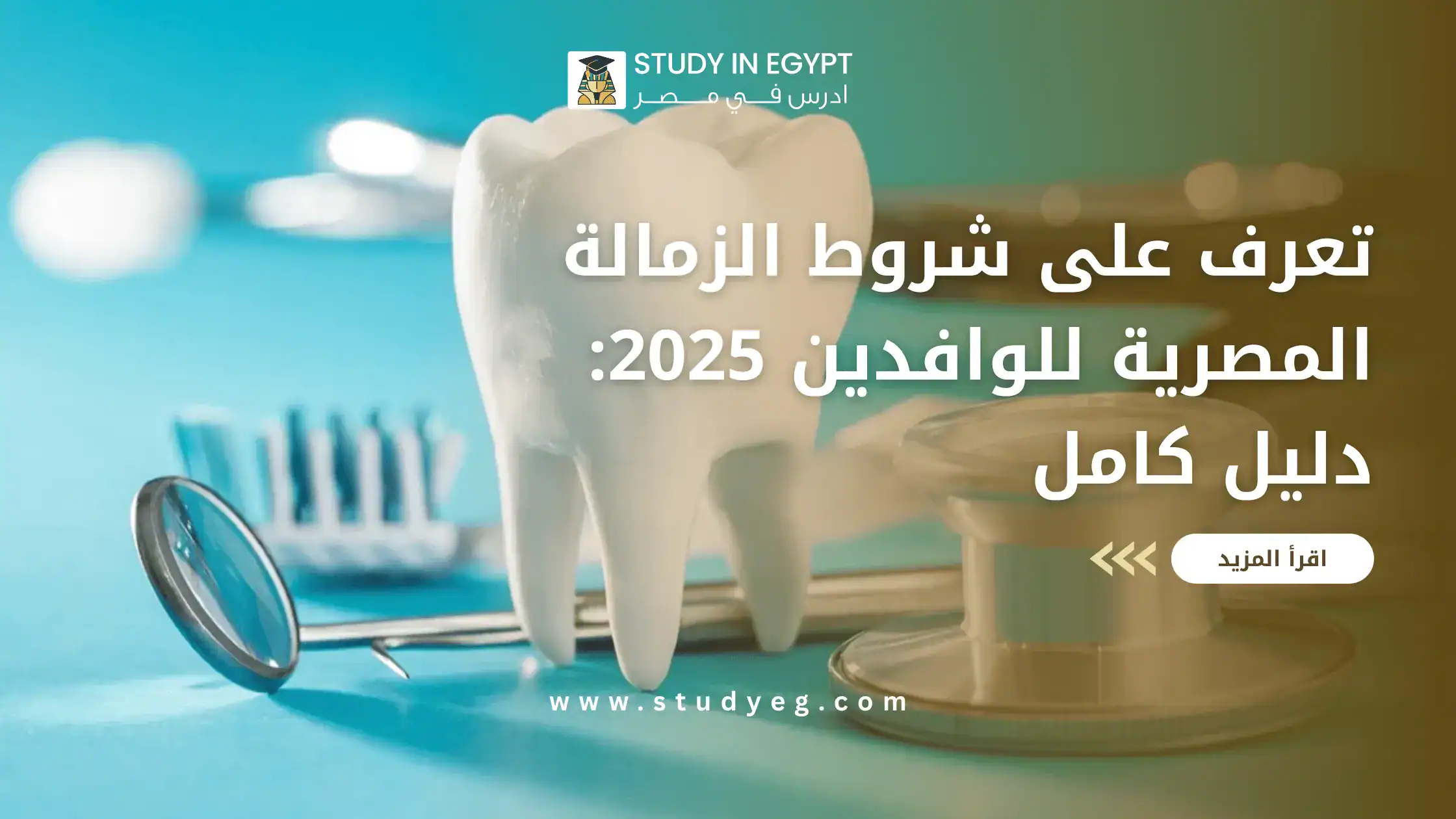 شروط الزمالة المصرية للوافدين