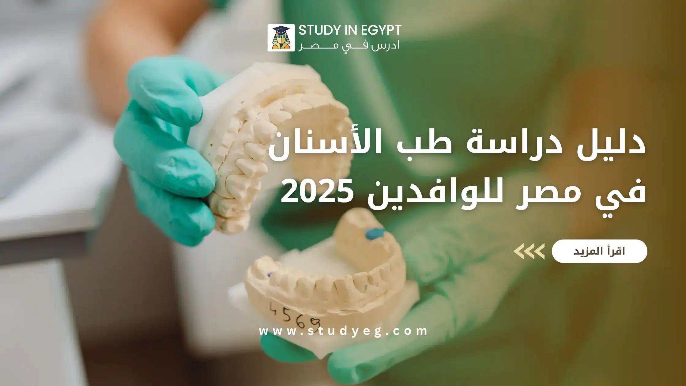 دراسة طب الأسنان في مصر