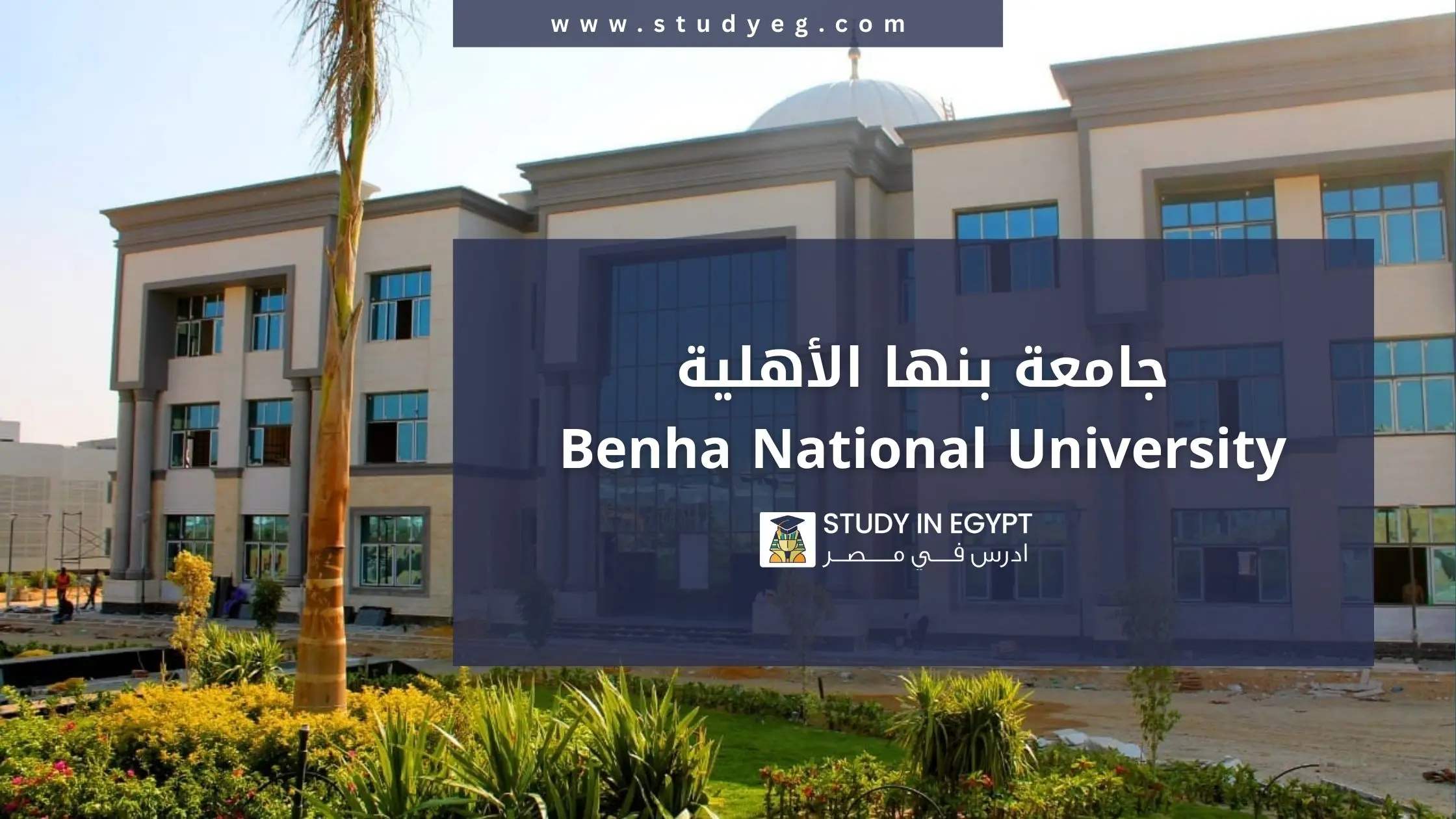 التسجيل في جامعة بنها الأهلية