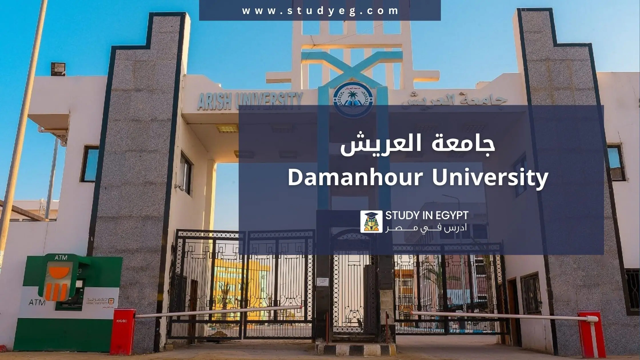 التقديم في جامعة العريش