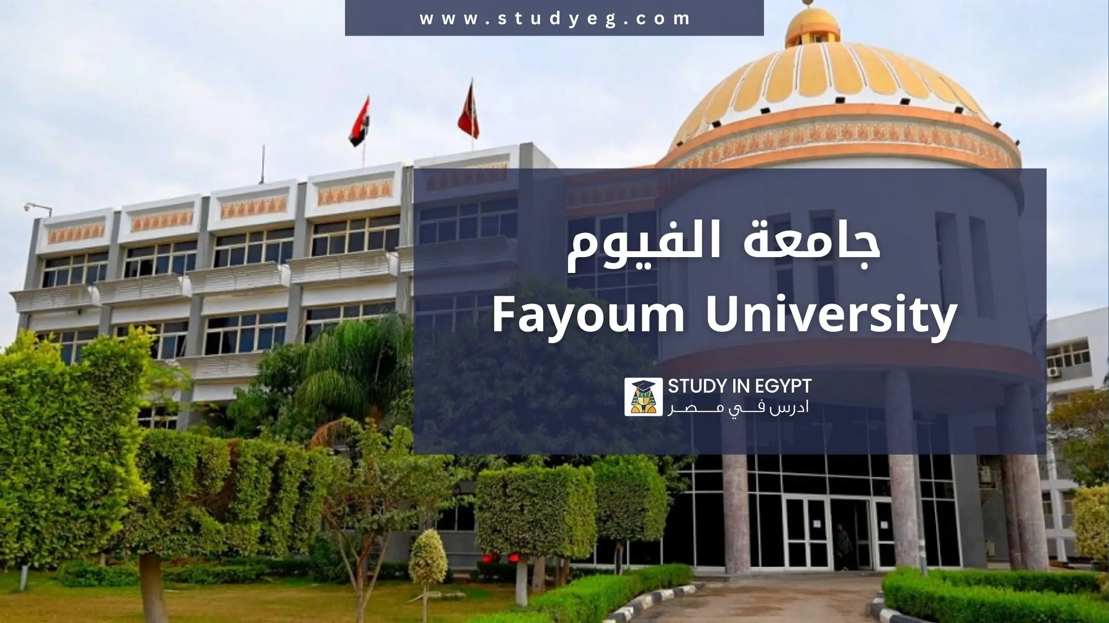 التقديم في جامعة الفيوم