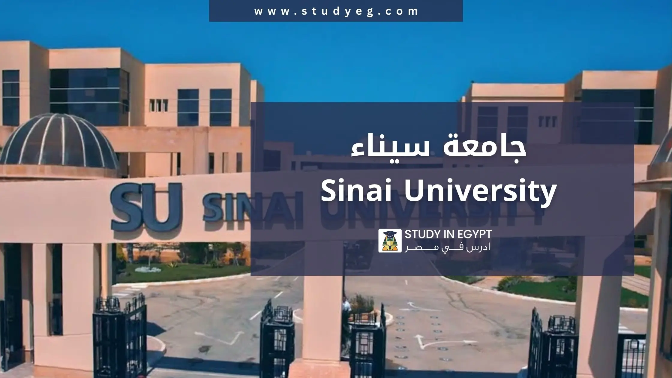 التقديم في جامعة سيناء