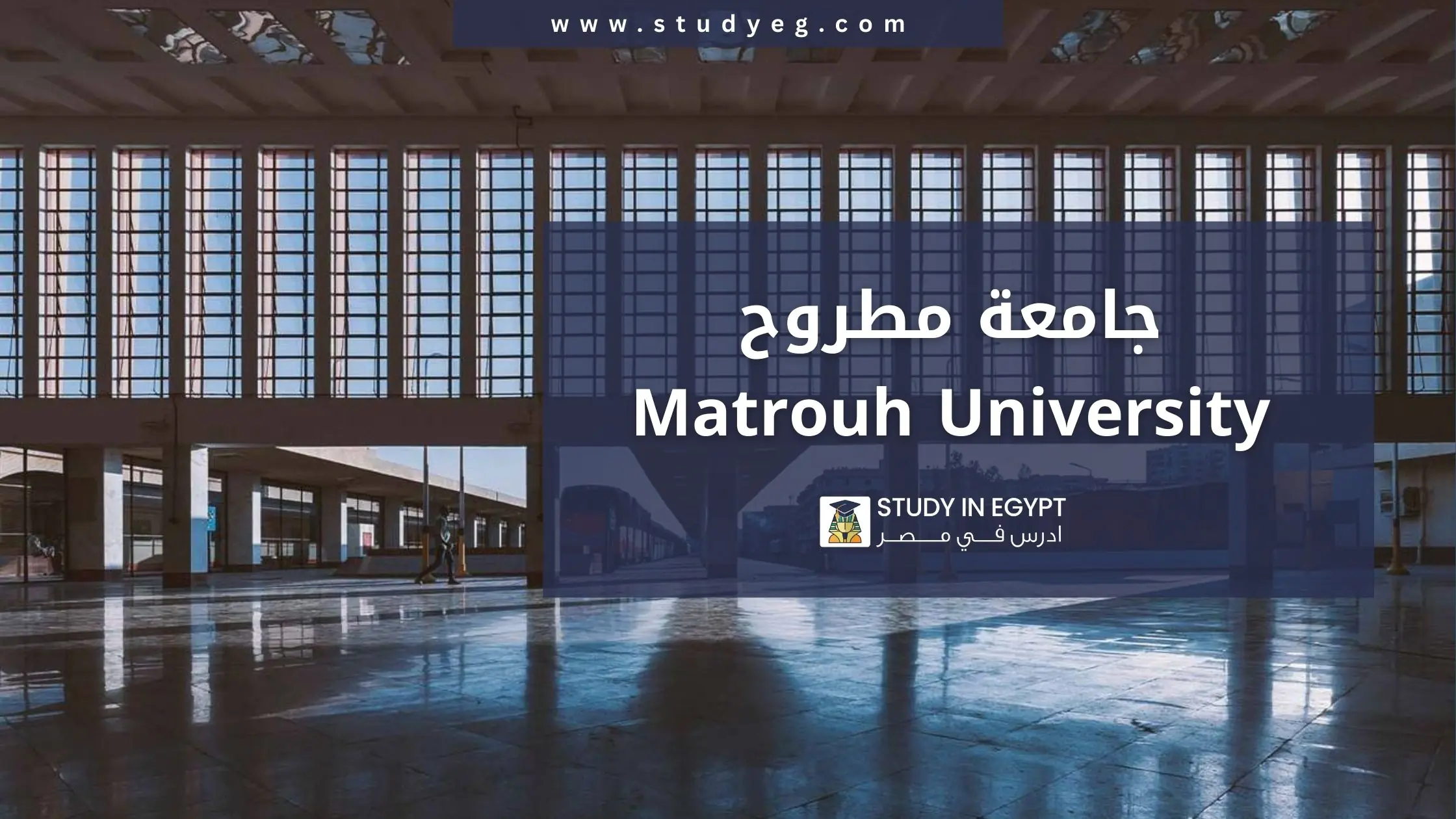 التقديم في جامعة مطروح