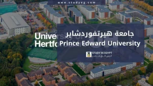 التقديم في جامعة هيرتفوردشاير في مصر