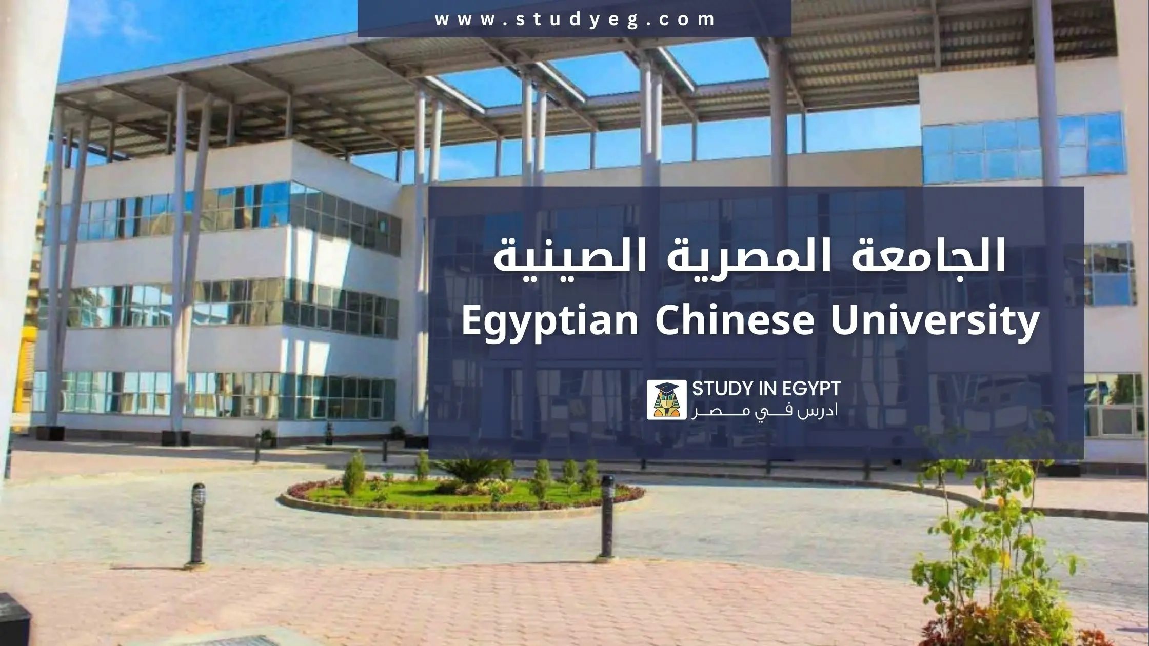 الدراسة في الجامعة المصرية الصينية