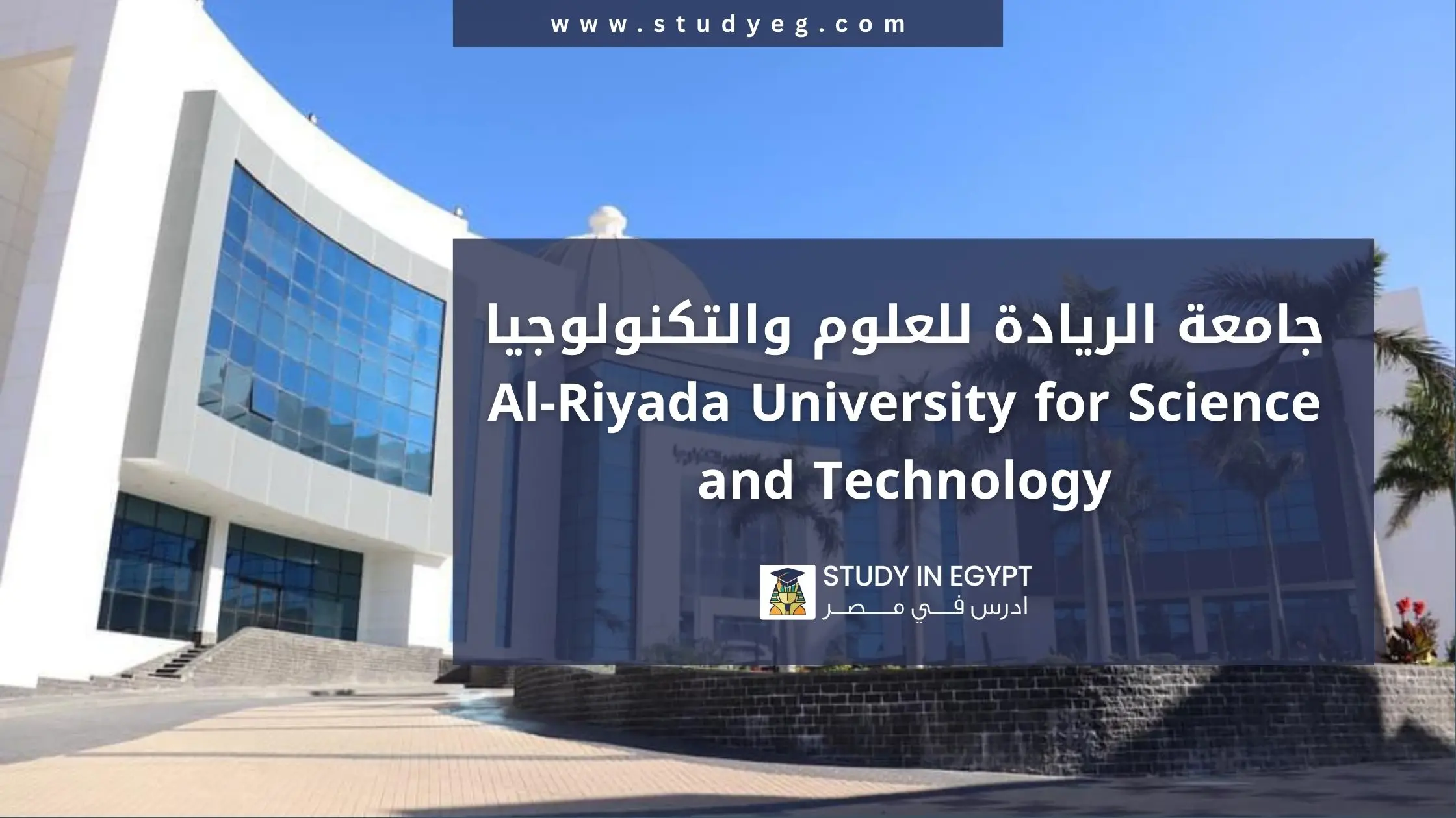 الدراسة في جامعة الريادة للعلوم والتكنولوجيا