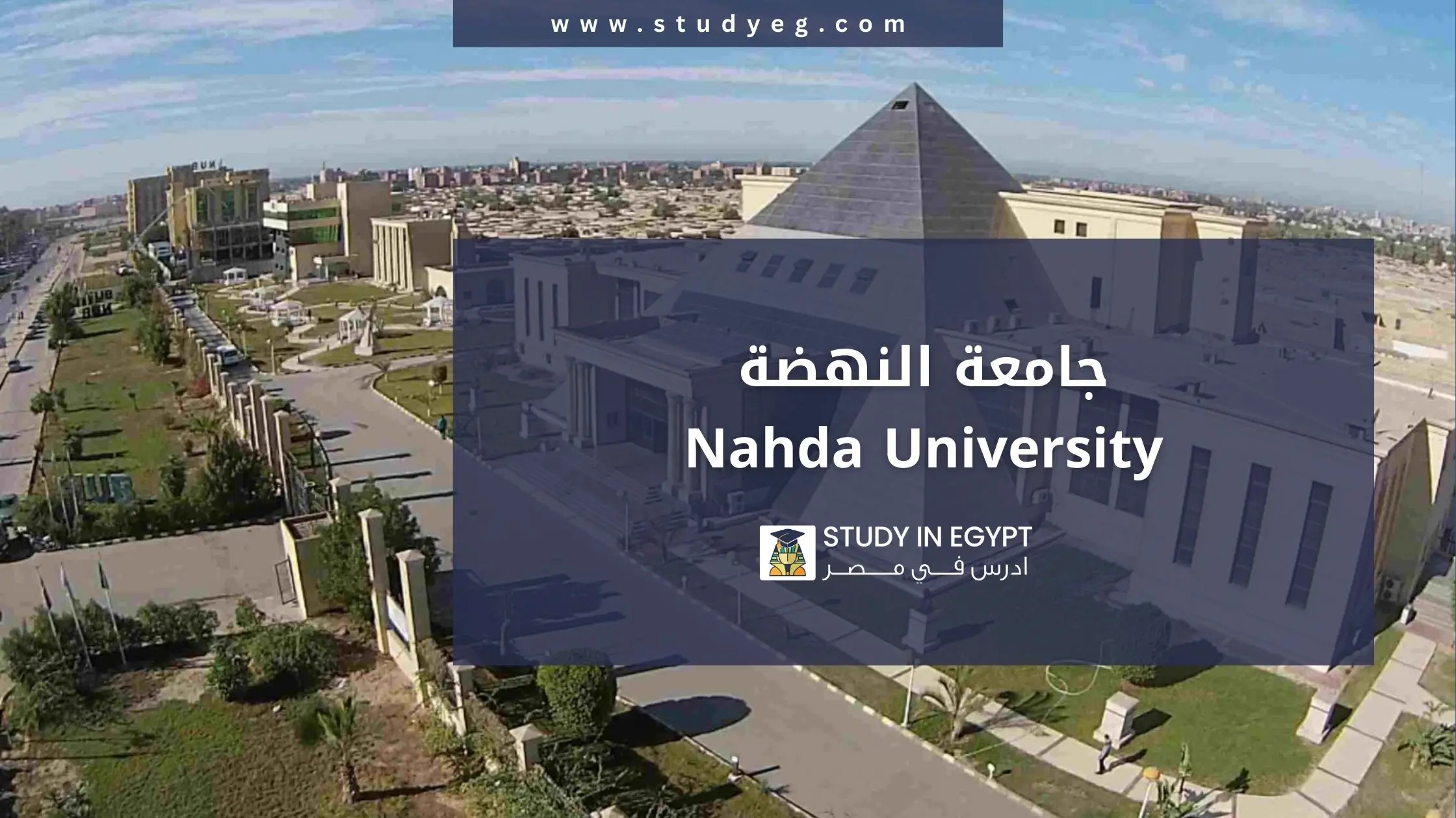 الدراسة في جامعة النهضة