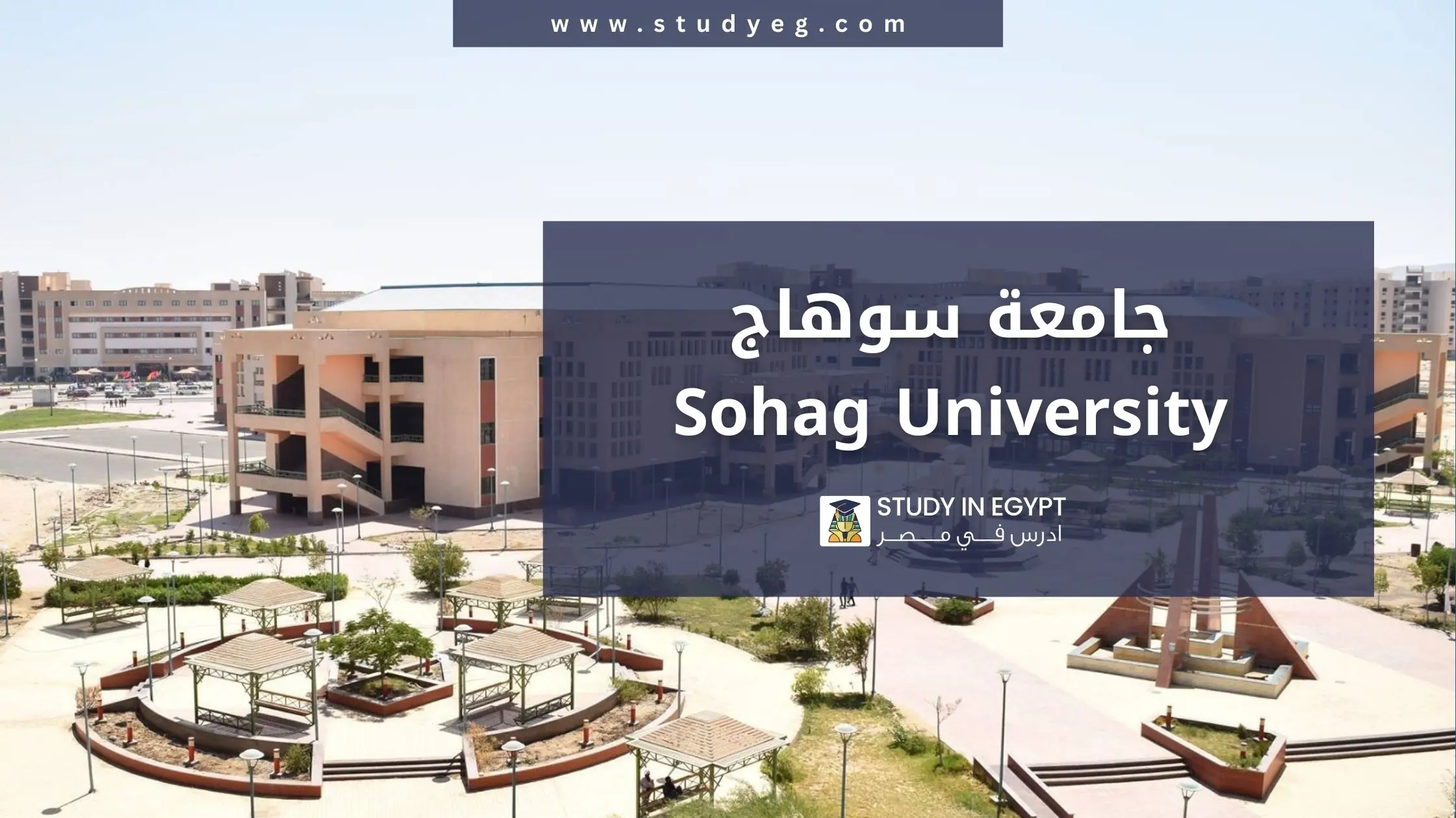 الدراسة في جامعة سوهاج