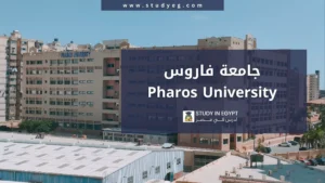 الدراسة في جامعة فاروس
