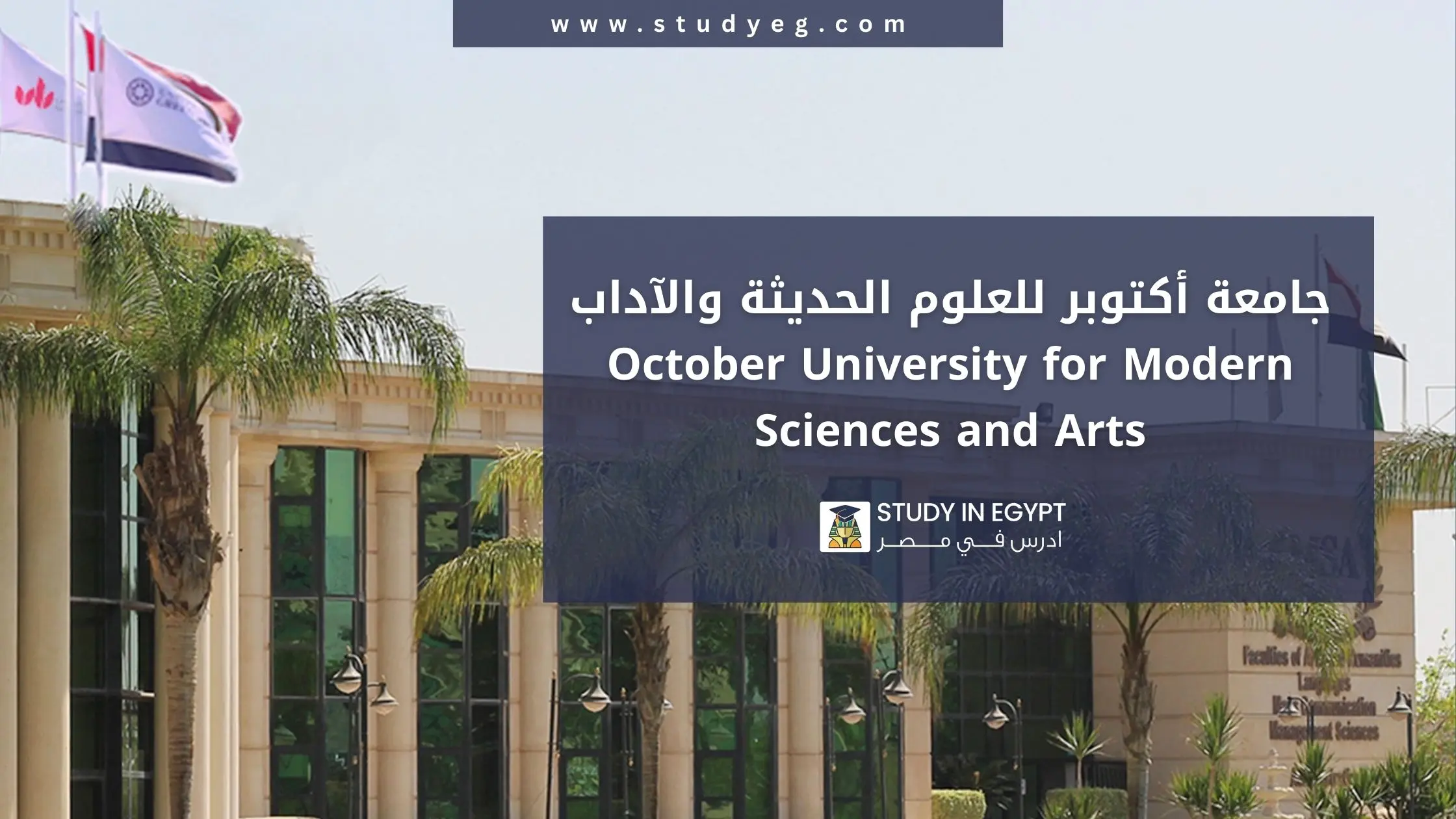 الدراسة في جامعة أكتوبر للعلوم الحديثة والآداب