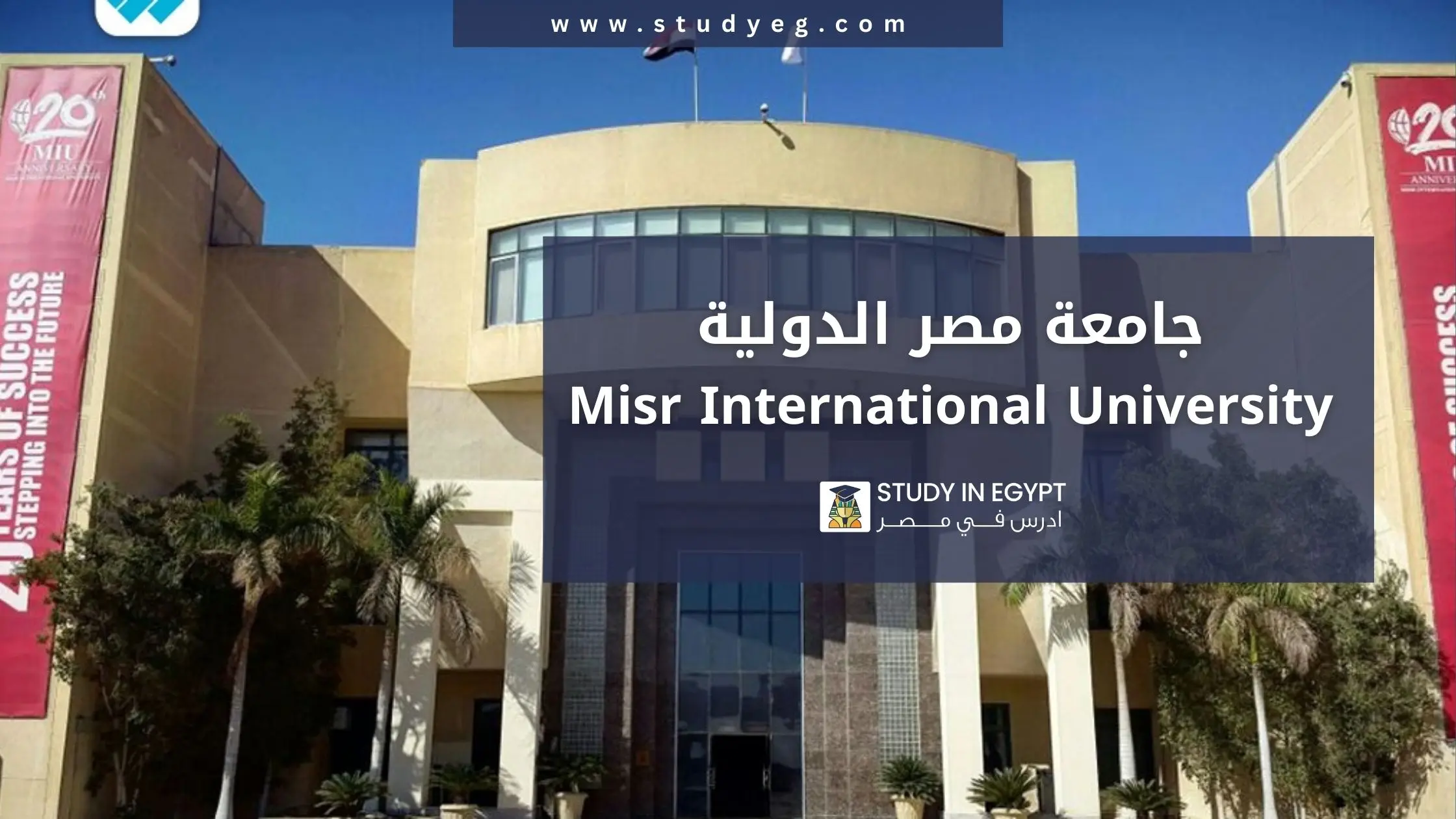 الدراسة في جامعة مصر الدولية
