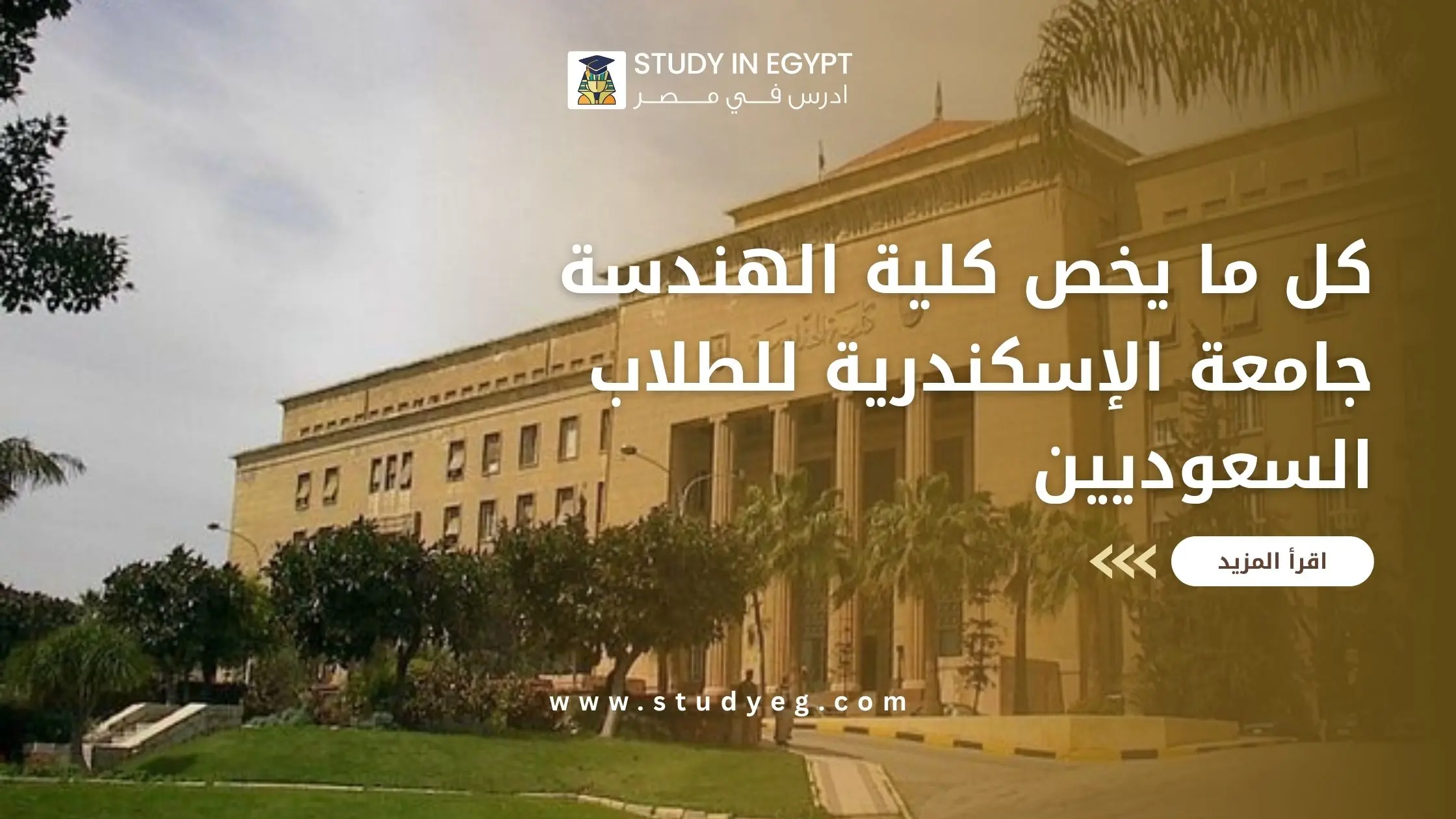 كلية الهندسة جامعة الإسكندرية
