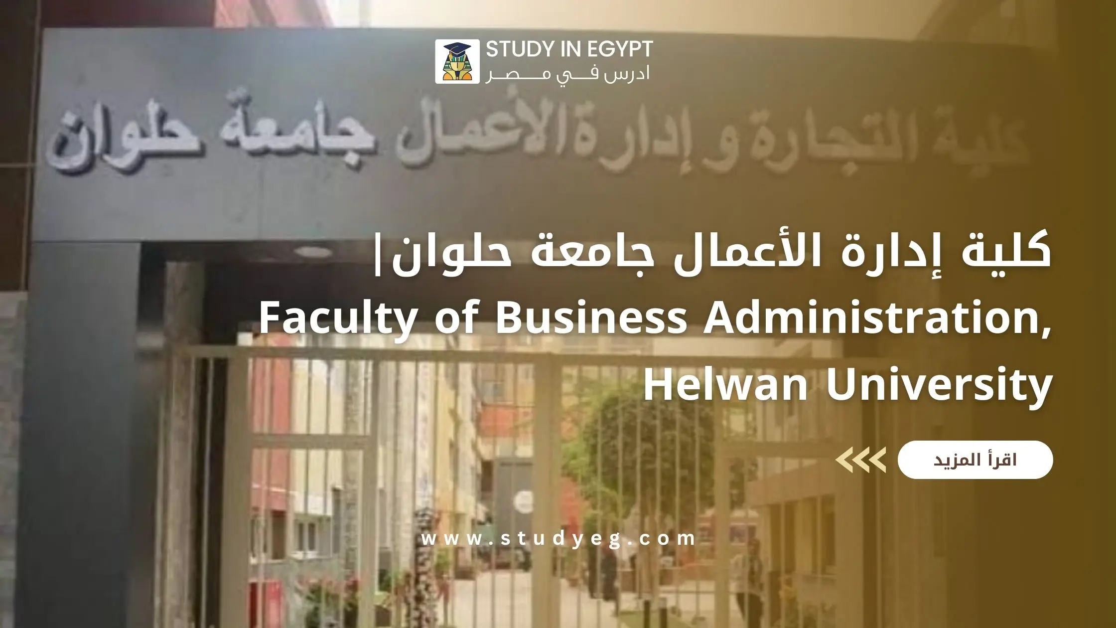 كلية إدارة الأعمال جامعة حلوان