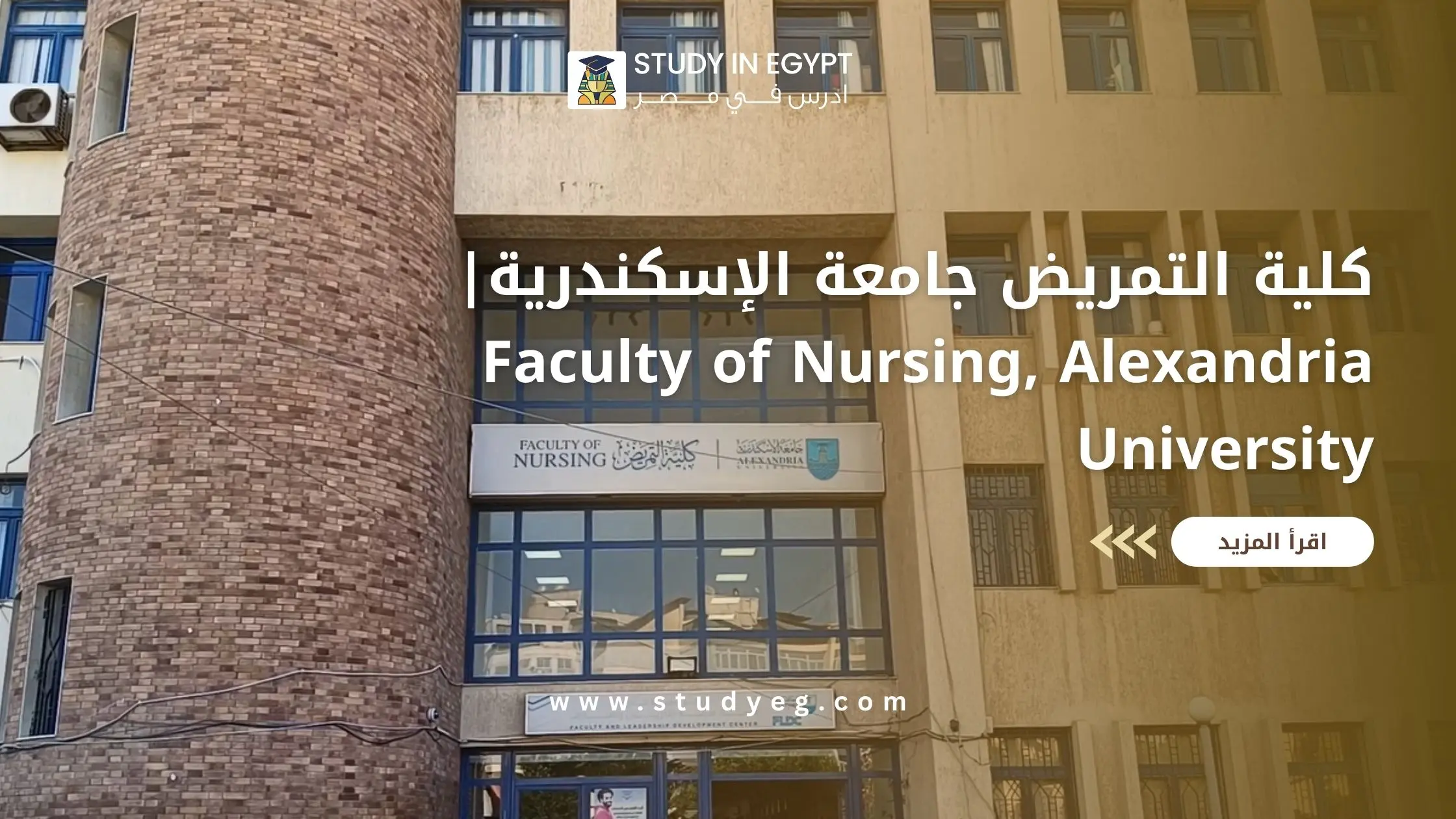 كلية التمريض جامعة الإسكندرية