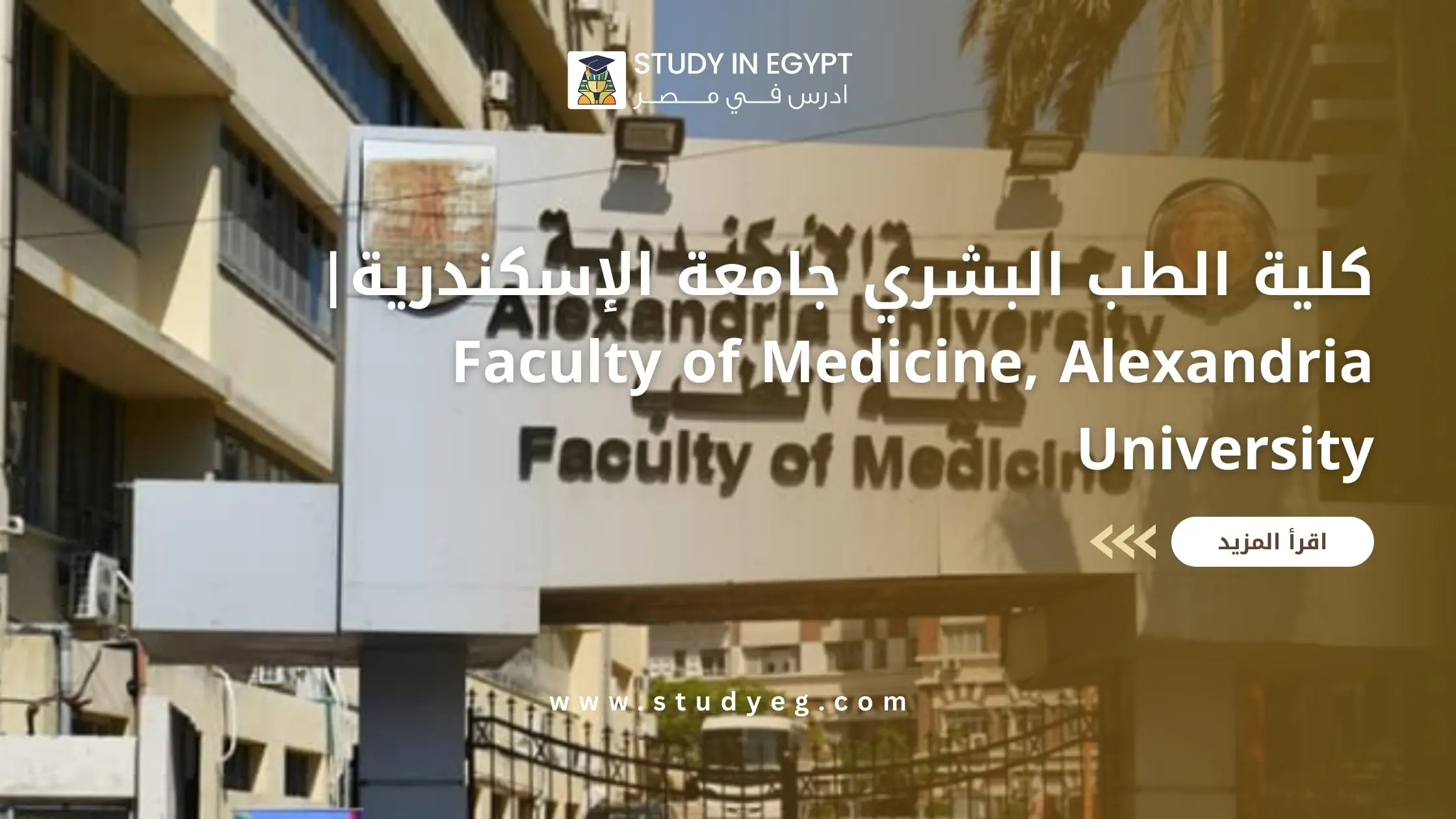 كلية الطب البشري جامعة الإسكندرية