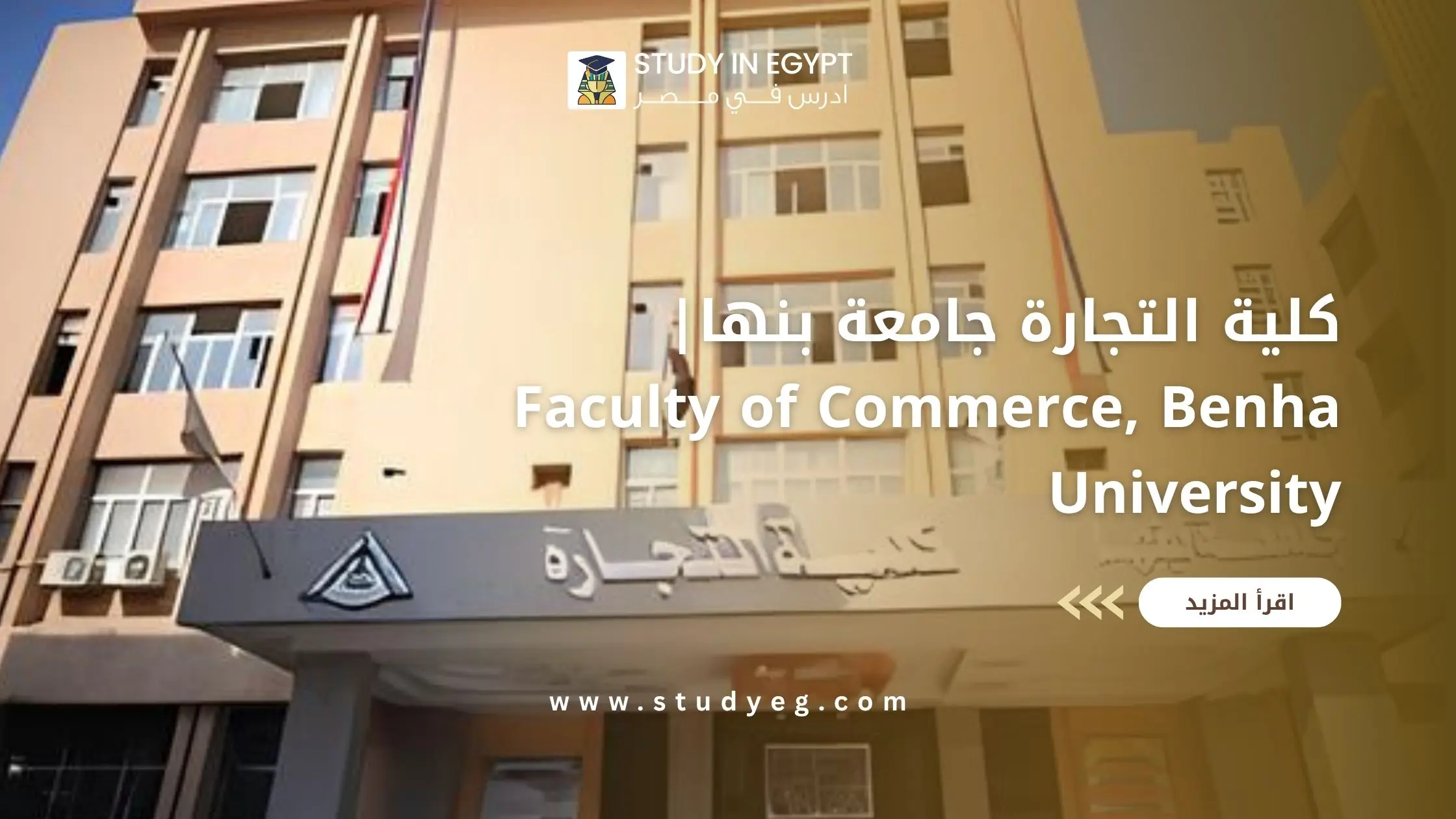 كلية التجارة جامعة بنها