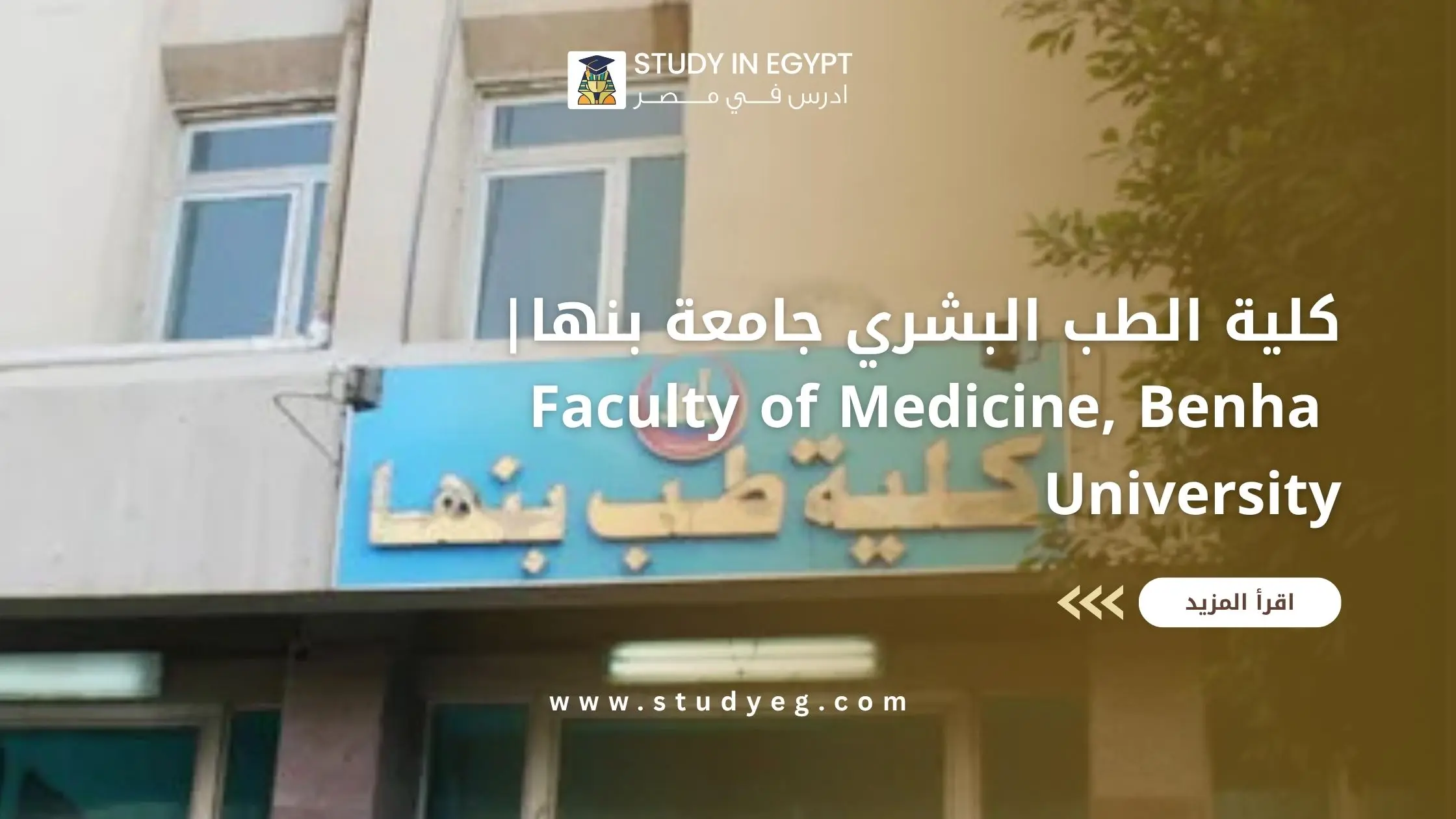 كلية الطب البشري جامعة بنها